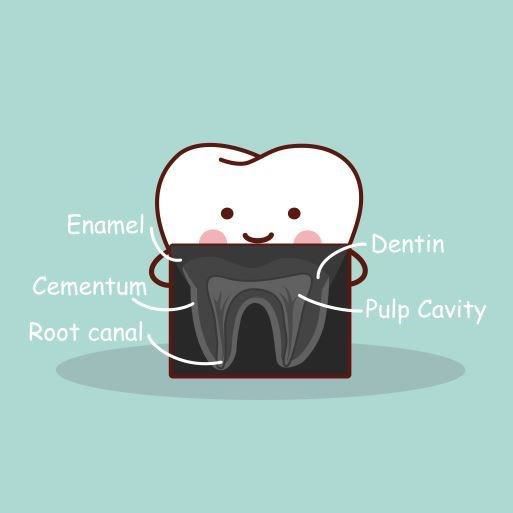 Root Canal Treatment